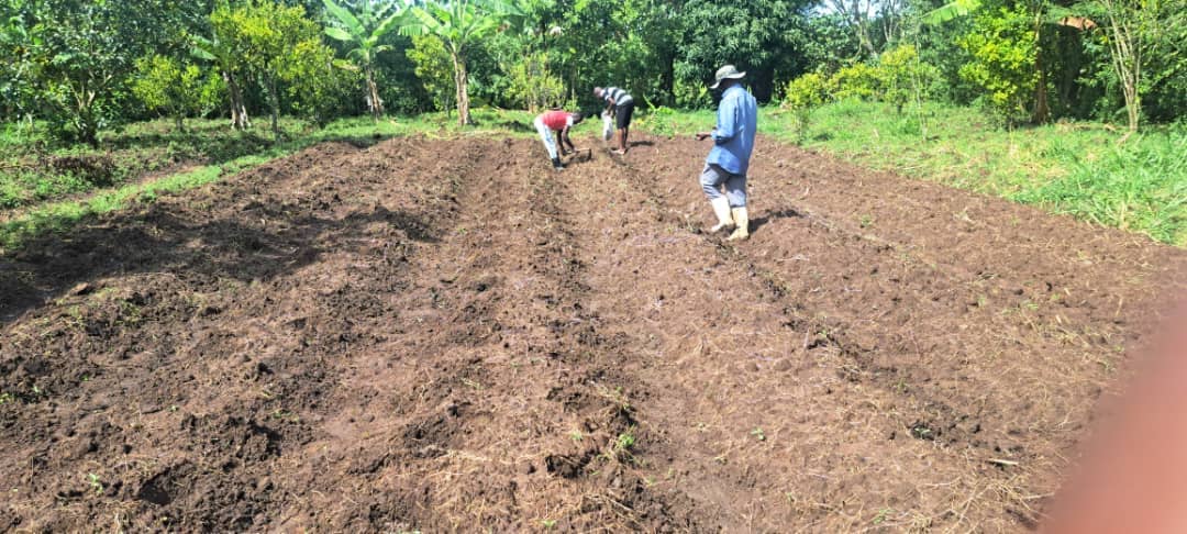 Community Development Success Story