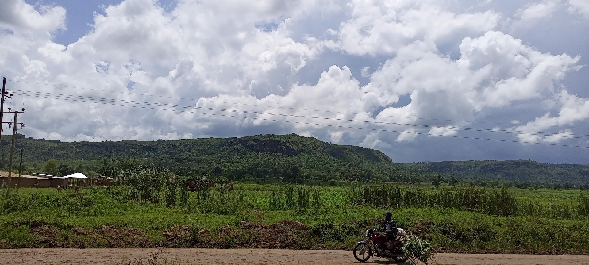 Bamaena First Foundation History