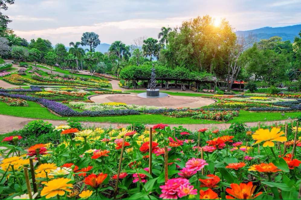 Landscaping and Flower Entrepreneurship