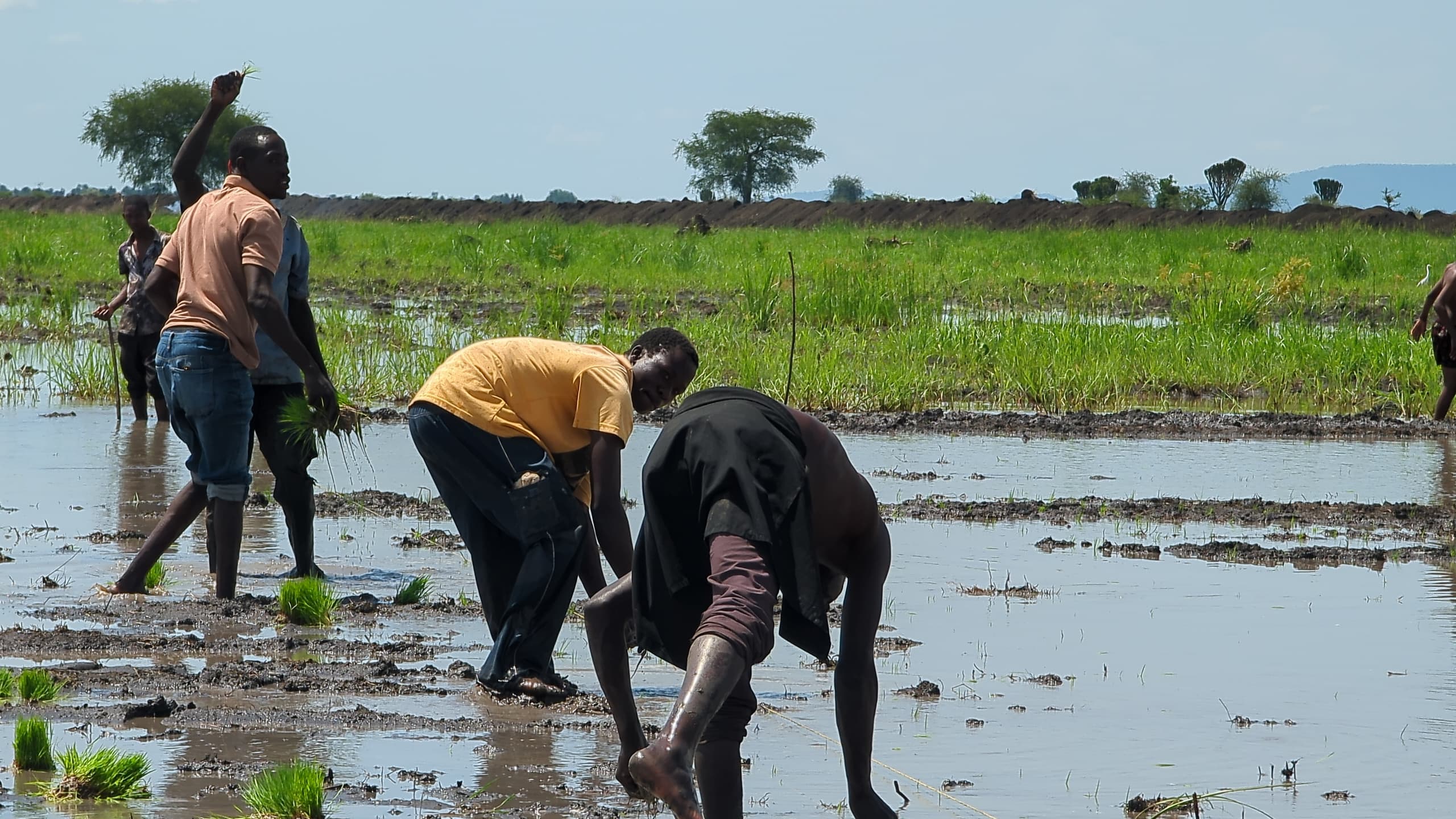 Rice Farming Workshop