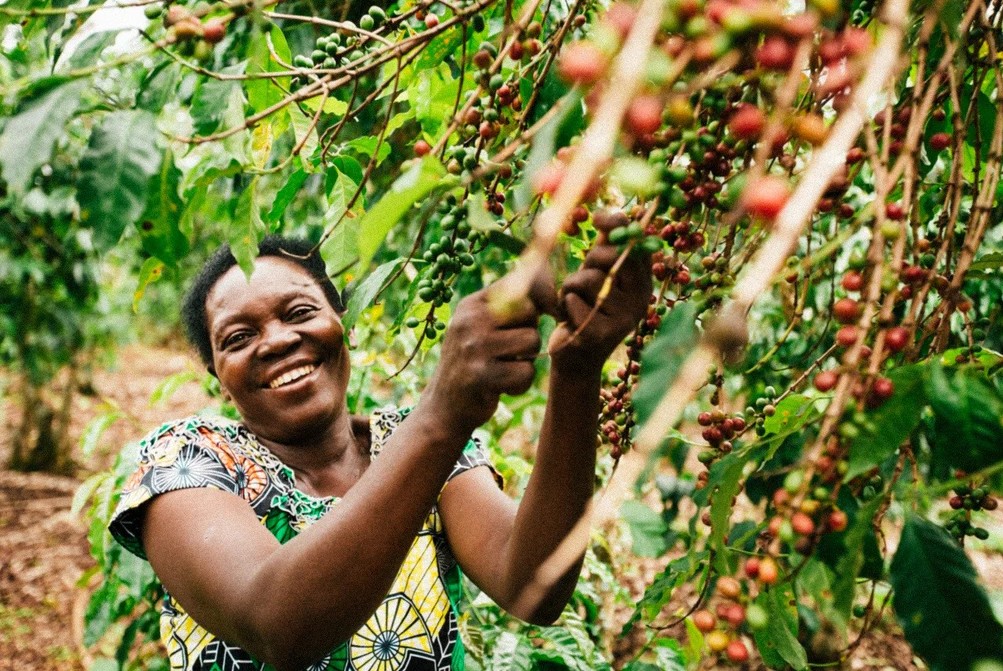 Women Coffee Entrepreneurship Initiative